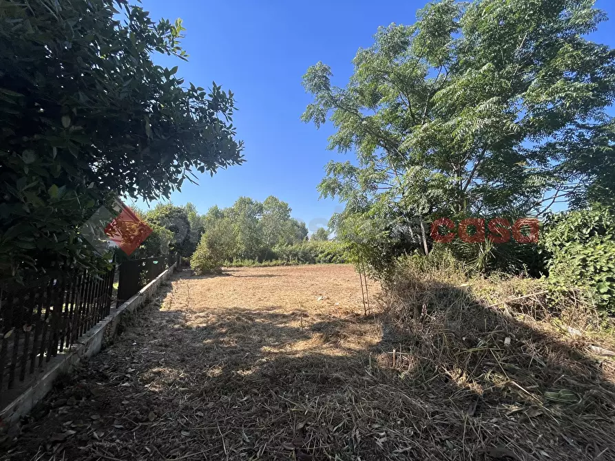 Immagine 12 di Terreno agricolo in vendita  in Via RESIDENCE I PIOPPI, 1 a Terracina