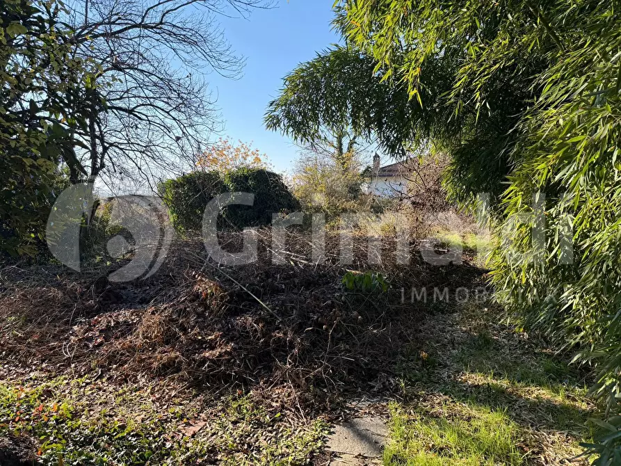 Immagine 11 di Villa in vendita  in Via CAVOUR, 16 a San Cipriano Po