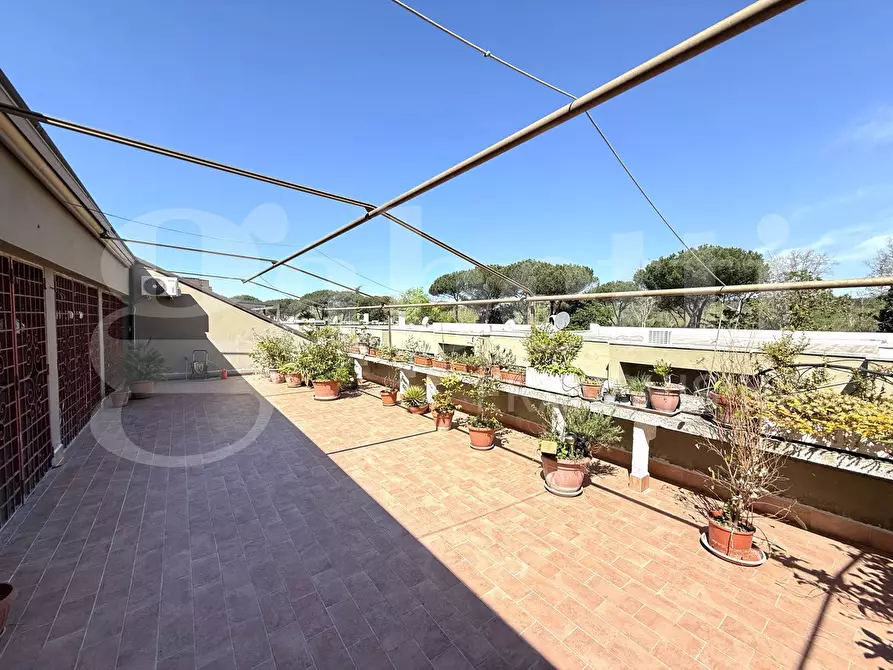 Immagine 2 di Appartamento in vendita  in Via Antonio Veranzio, 50 a Roma