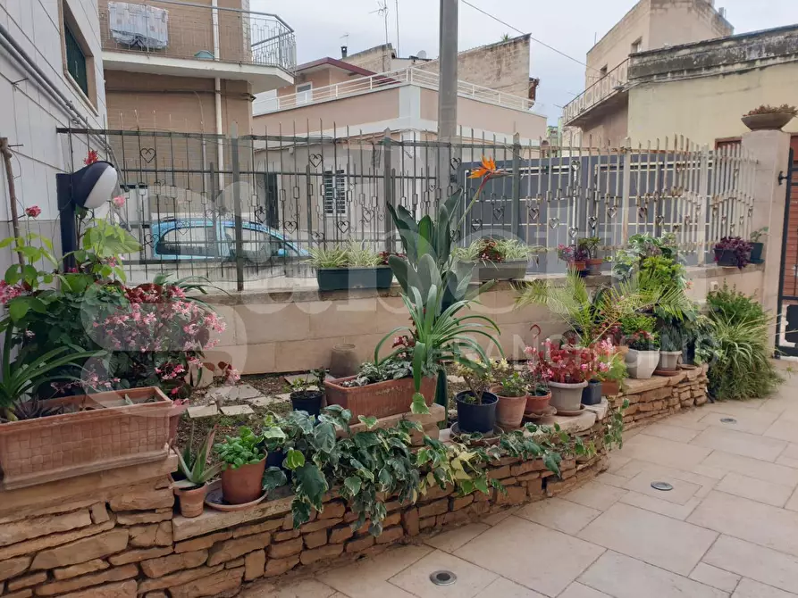 Immagine 36 di Terratetto in vendita  in Via VITTORIO EMANUELE a Grumo Appula