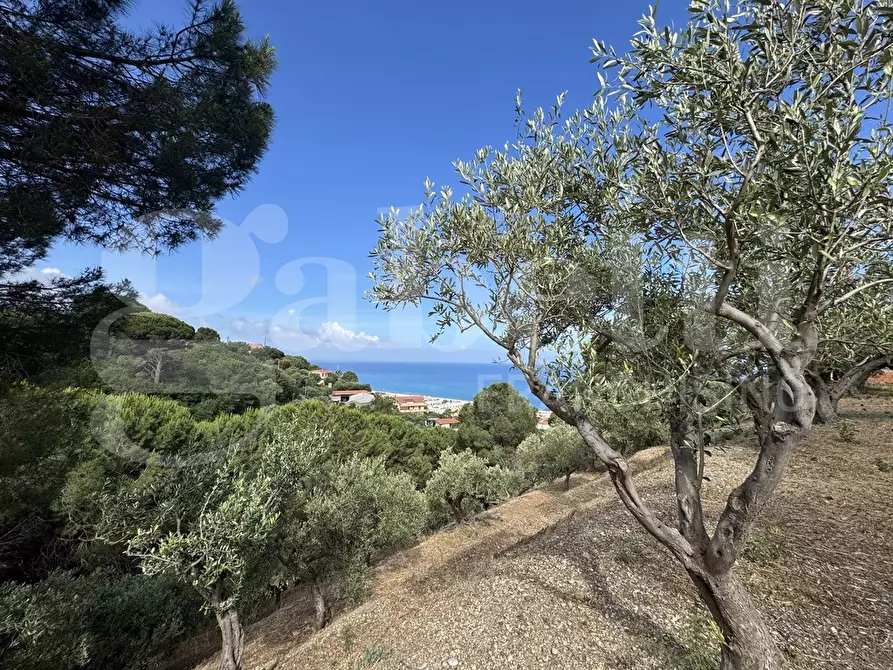 Immagine 4 di Terreno agricolo in vendita  in Contrada grancabella, SNC a Messina