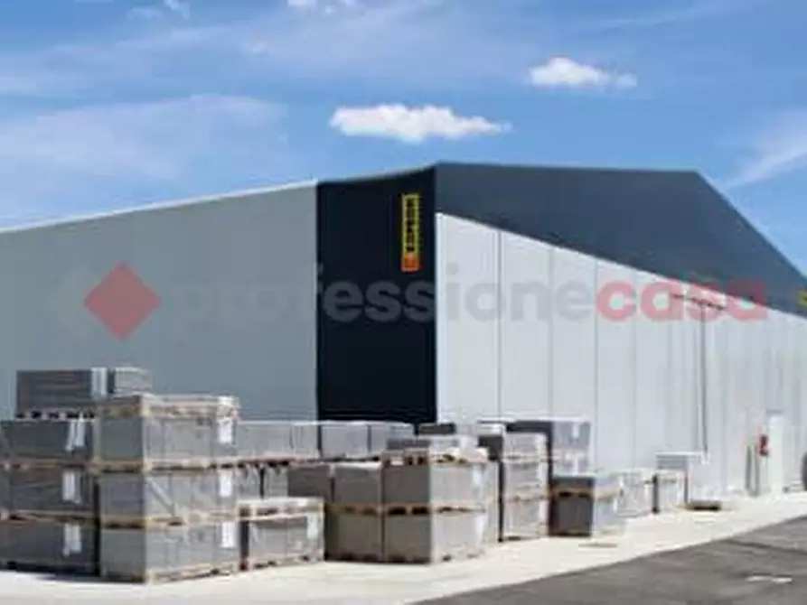 Immagine 12 di Capannone industriale in vendita  in Via zona paduni, snc a Anagni