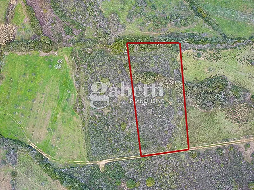 Immagine 10 di Terreno agricolo in vendita  in Via Baia Sant'Anna, snc a Budoni