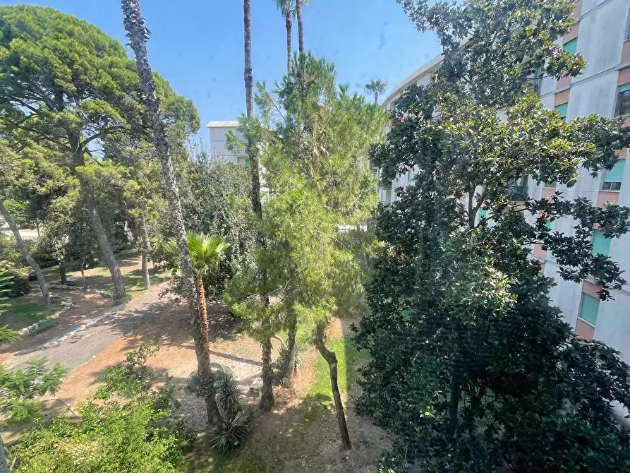 Immagine 11 di Appartamento in vendita  in Via Scala Greca, 284 a Siracusa