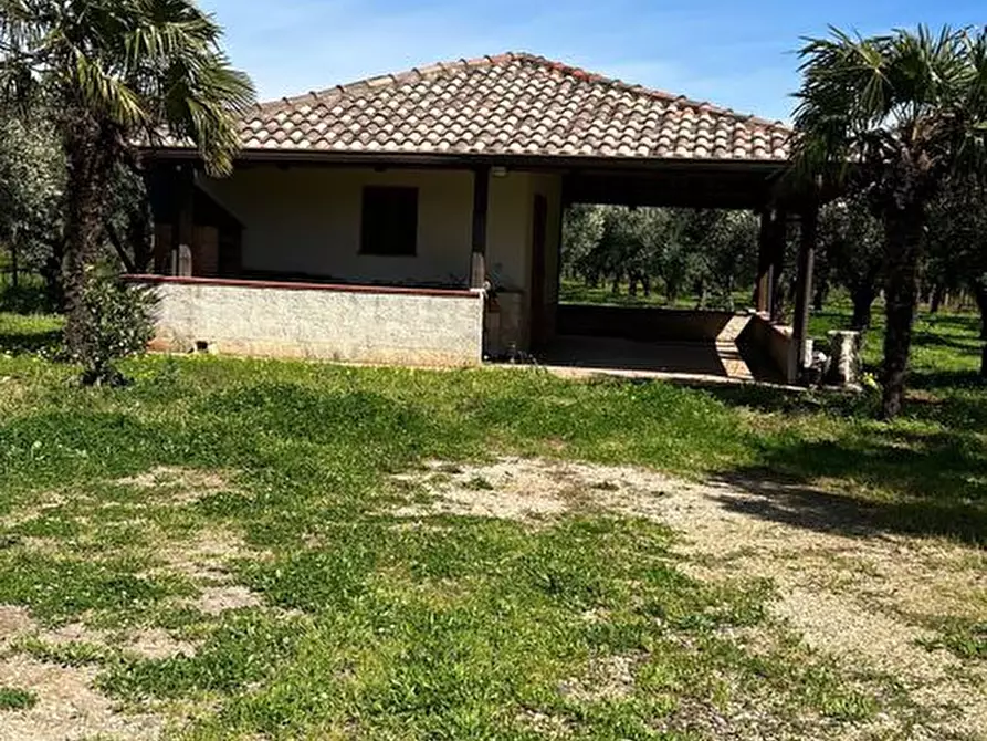 Immagine 8 di Terreno agricolo in vendita  in Via Raoul Morelli, 133 a Lamezia Terme