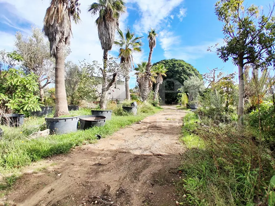 Immagine 17 di Terreno agricolo in vendita  in Contrada gaddimeli, snc a Ragusa