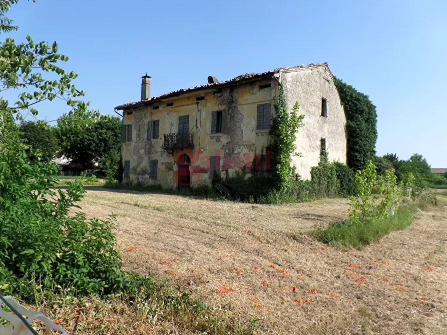 Immagine 5 di Terreno residenziale in vendita  in Via Falzoni, 135 a Cento