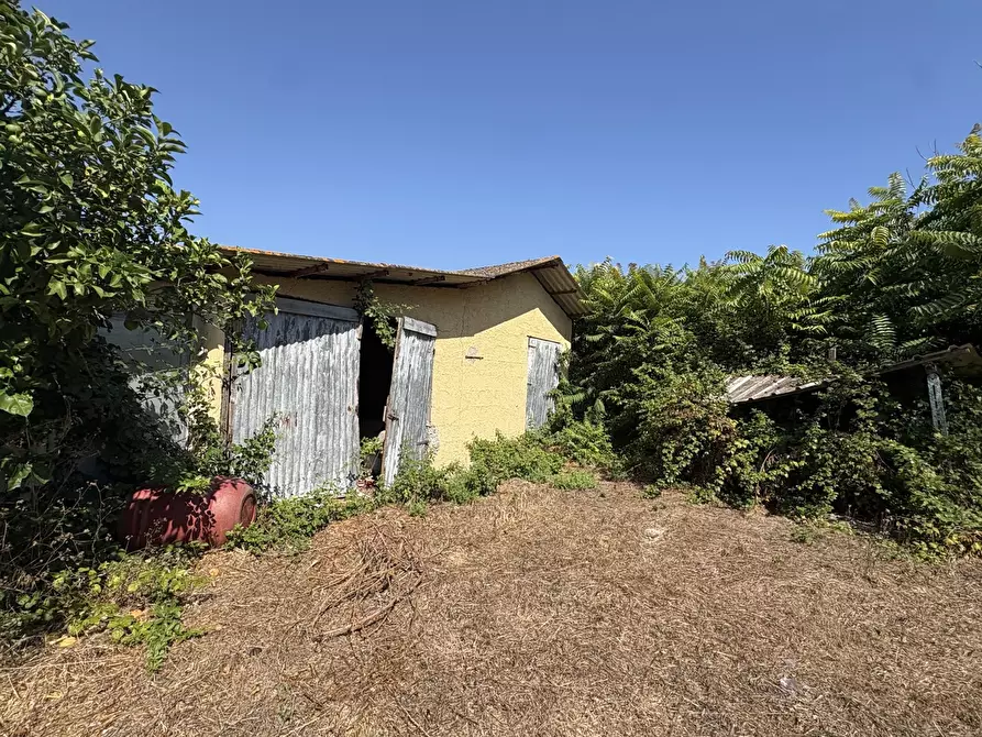 Immagine 13 di Appartamento in vendita  in Strada CAPO DEI BUFALI, 1 a Terracina