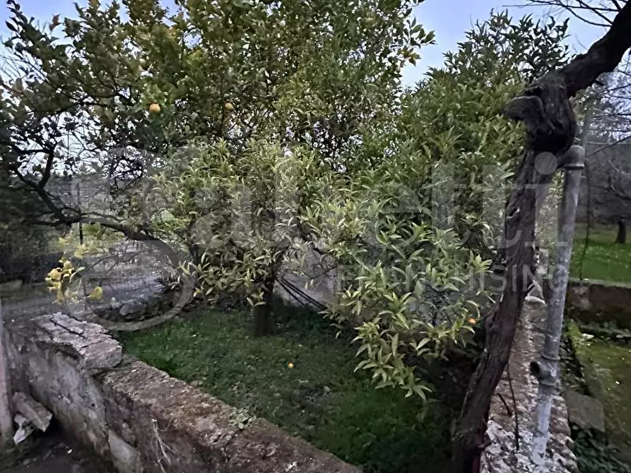 Immagine 23 di Villa in vendita  in Contrada Lamacoppa piccola, sn a Ostuni