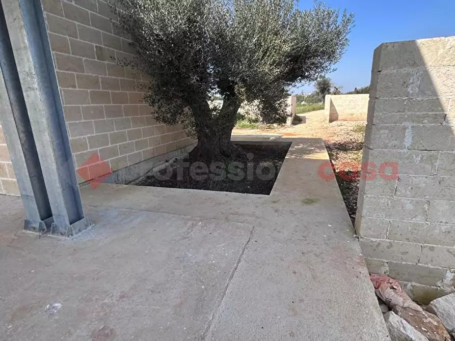 Immagine 4 di Villa in vendita  in Via SP29, snc a Ostuni