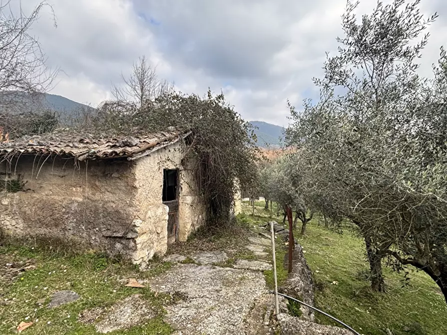 Immagine 17 di Rustico / casale in vendita  in Via Casale Basso, snc a Alatri