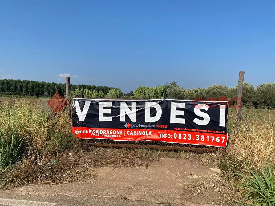 Immagine 24 di Terreno agricolo in vendita  in LocalitÃ  Starzella, SNC a Falciano Del Massico