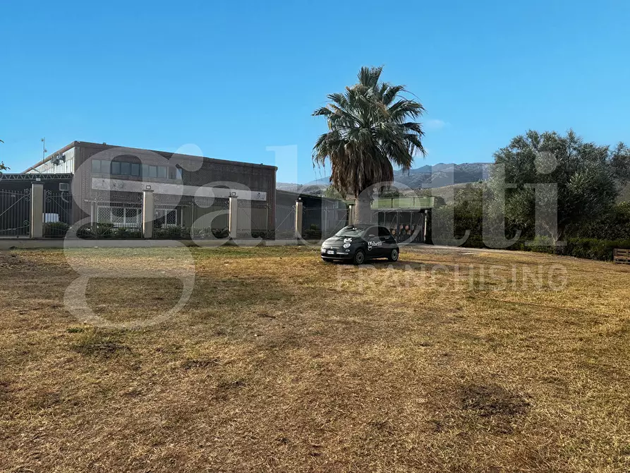 Immagine 1 di Azienda agricola in vendita  in LocalitÃ  Monticello a Pastorano