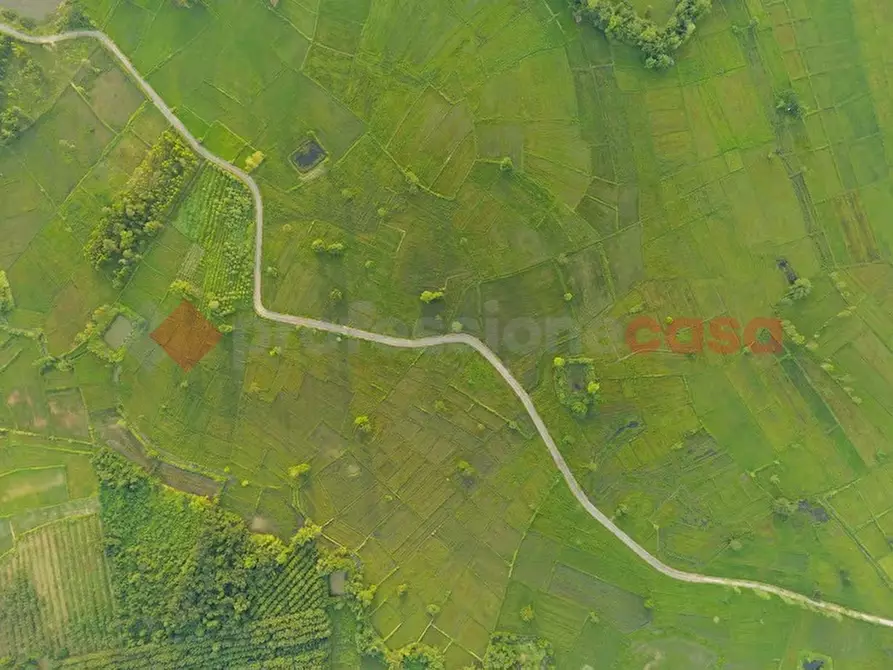 Immagine 4 di Terreno residenziale in vendita  in LocalitÃ  Paduni, snc a Anagni