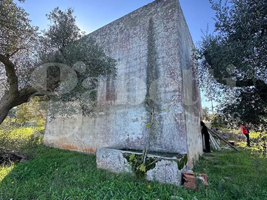 Immagine 6 di Villa in vendita  in Contrada Sessana Piccola, sn a Ostuni