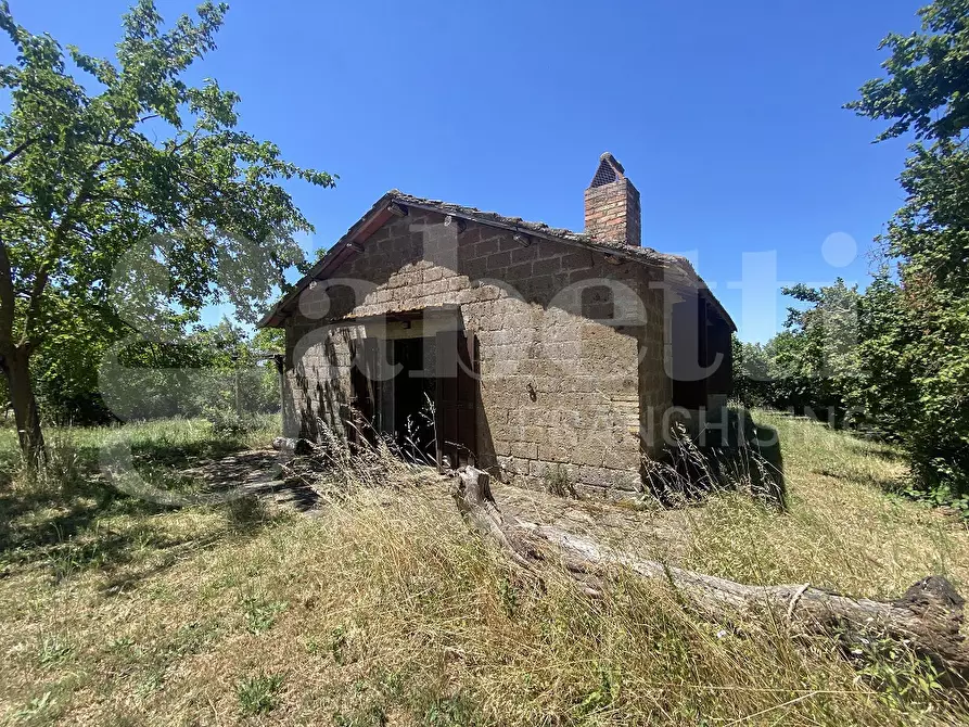 Immagine 13 di Rustico / casale in vendita  in Via DEL CONDOTTINO, 00 a Manziana