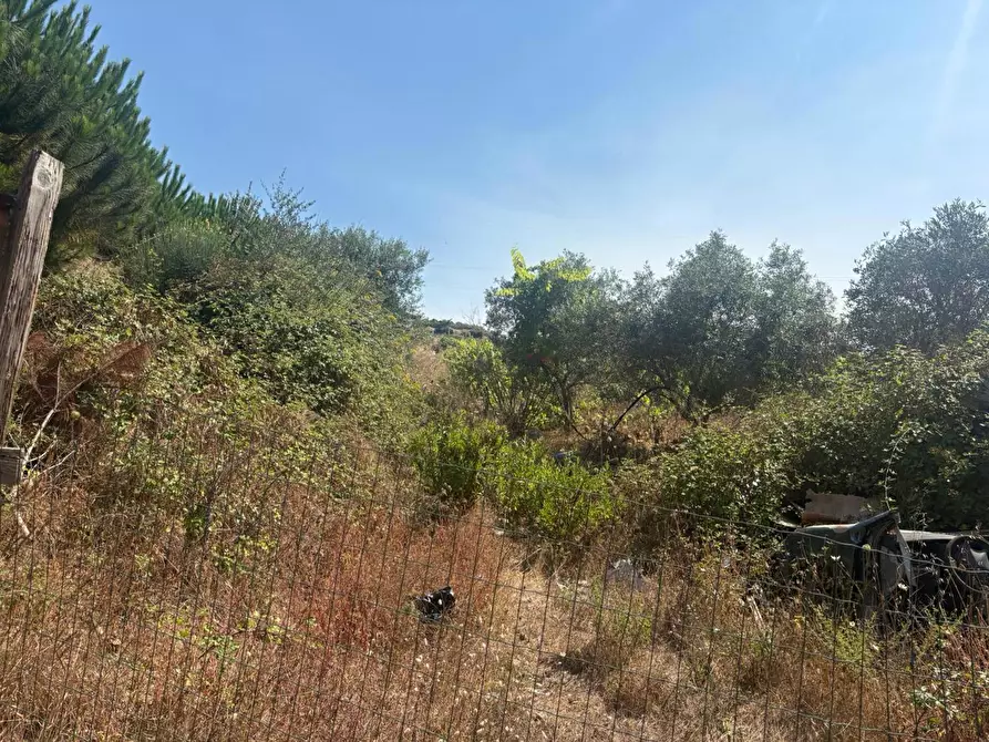 Immagine 4 di Terreno agricolo in vendita  in Via Nicholaus Kleineberg, 2 a Messina