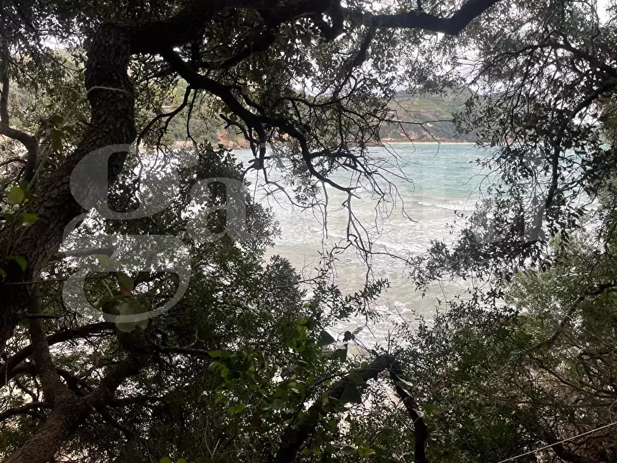 Immagine 6 di Terreno agricolo in vendita  in Via Monte a mare, s.n.c. a Gaeta