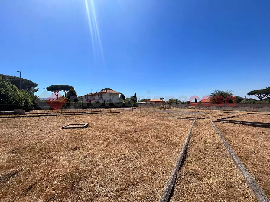 Immagine 15 di Terreno agricolo in vendita  in Strada PROV. S. FELICE CIRCEO, 1 a Terracina