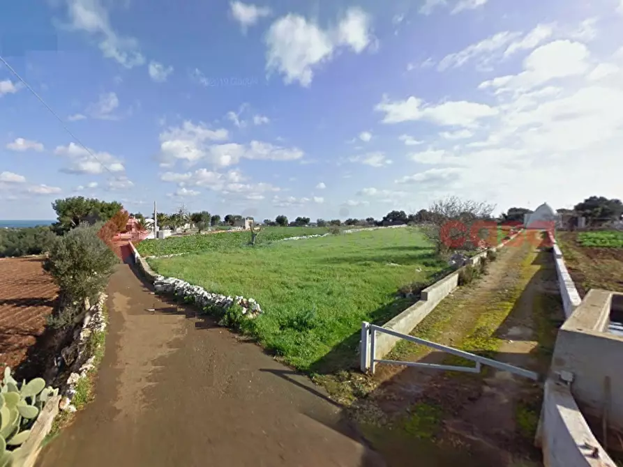 Immagine 1 di Terreno agricolo in vendita  in Strada Provinciale Polignano Conversano a Polignano A Mare