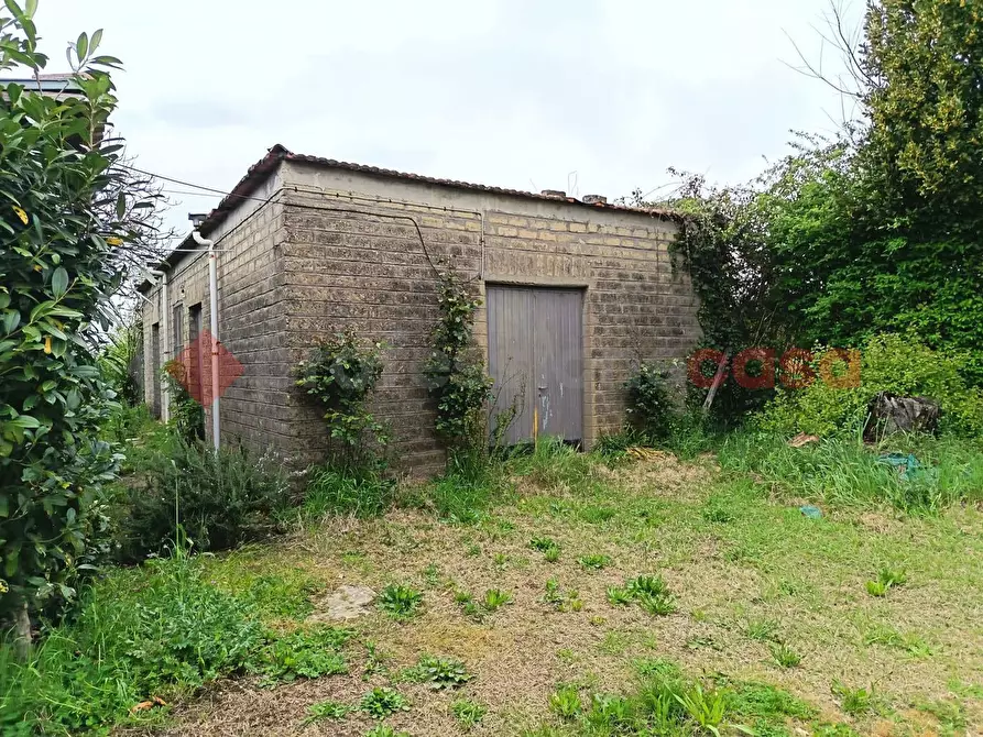 Immagine 1 di Terreno agricolo in vendita  in Strada Vicinale Ponte del Papa, snc a Anagni