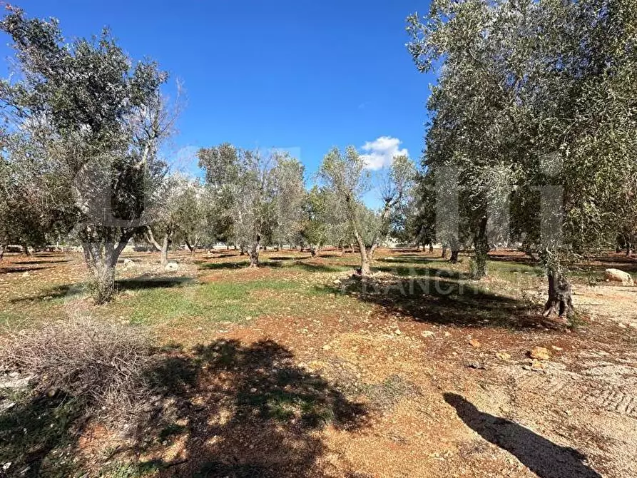 Immagine 1 di Villa in vendita  in Contrada Giovannarolla, sn a Ostuni