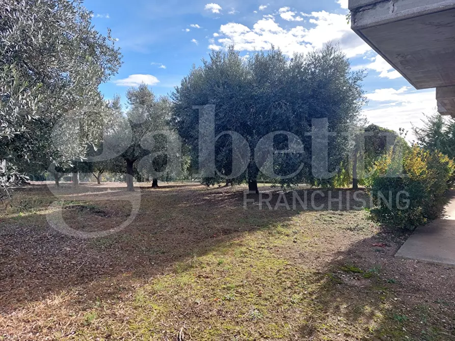 Immagine 8 di Villa in vendita  in Via Mameli, 9 a Corropoli