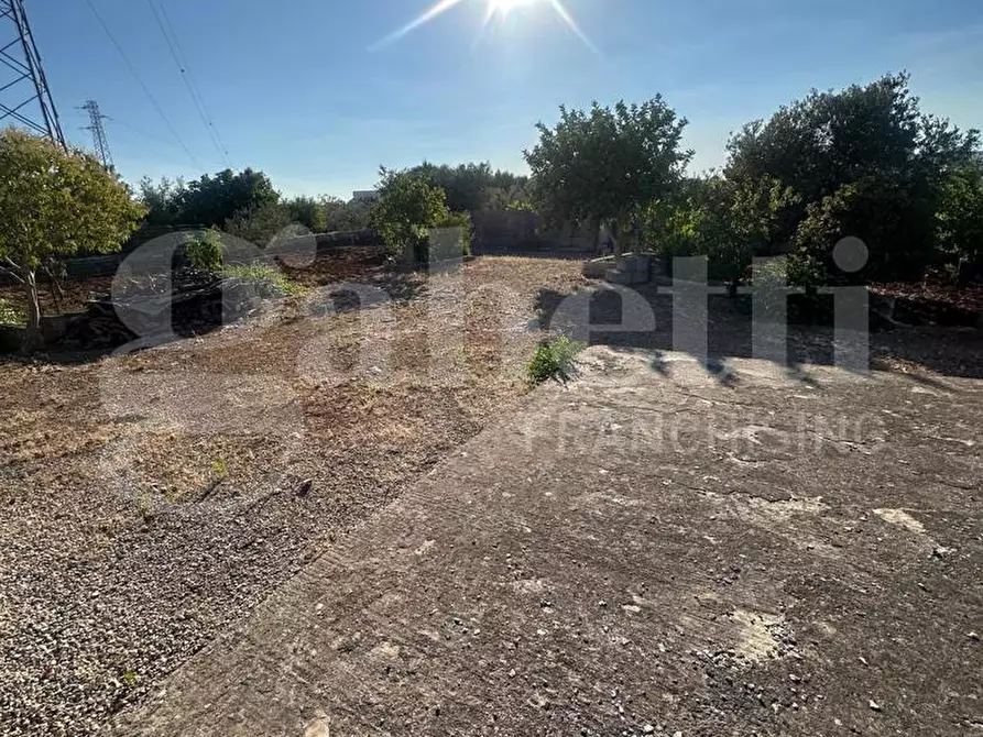 Immagine 12 di Terreno agricolo in vendita  in Contrada Salinola a Ostuni