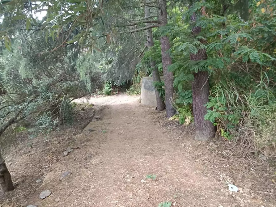 Immagine 13 di Terreno agricolo in vendita  in Via Zafferia, contrada cardÃ , snc a Messina