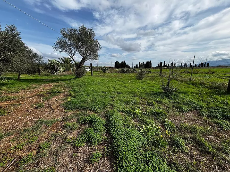 Immagine 14 di Casa indipendente in vendita  in LocalitÃ  Arriari, snc a Villamassargia