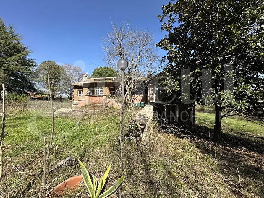 Immagine 29 di Villa in vendita  in Strada DELLA CASTELLINA, 00 a Oriolo Romano