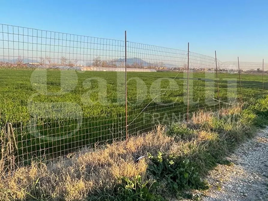 Immagine 3 di Terreno agricolo in vendita  in Via castello a Succivo