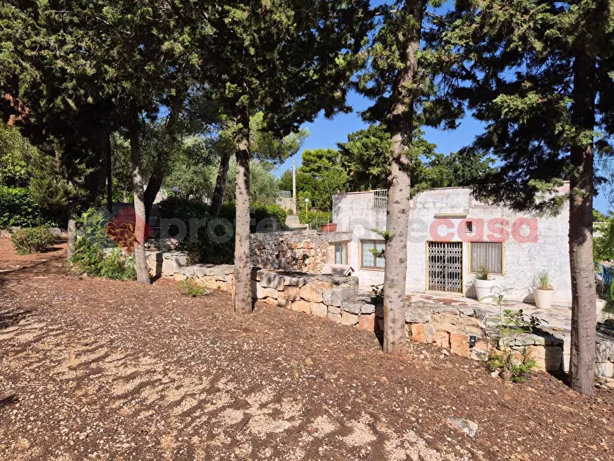 Immagine 9 di Casa indipendente in vendita  in Contrada LAMAMMOLILLA a Monopoli