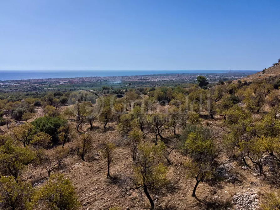 Immagine 2 di Terreno residenziale in vendita  in Contrada PETRARA, 0 a Avola