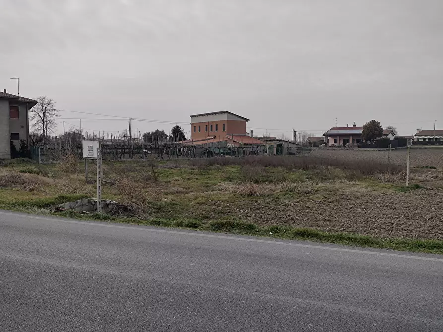 Immagine 2 di Terreno residenziale in vendita  in Via CAVARZERE via CÃ  Piasenti, 59 a Cavarzere