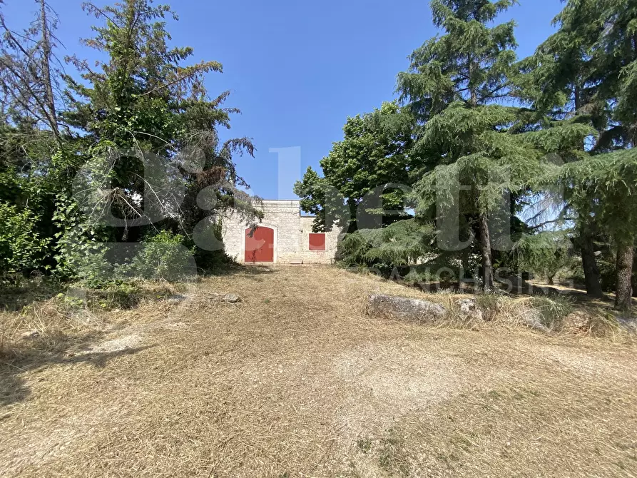 Immagine 26 di Villa in vendita  in Via S.P. 18, 76 a Cassano Delle Murge