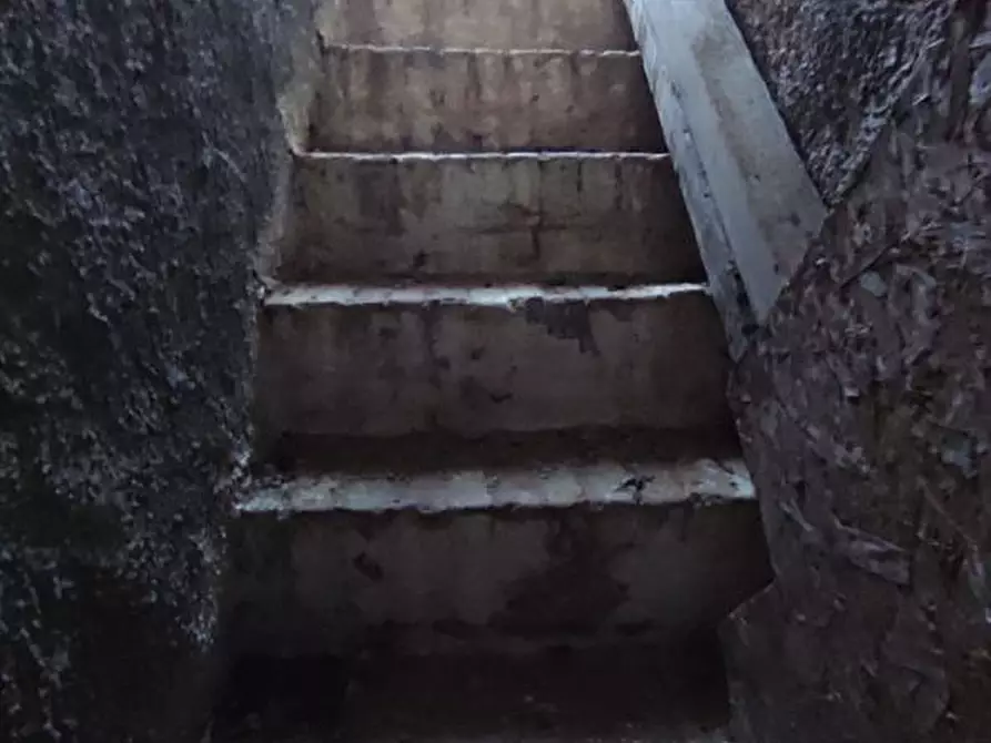 Immagine 7 di Terreno agricolo in vendita  in Via SAN ROCCO, SNC a San Severo