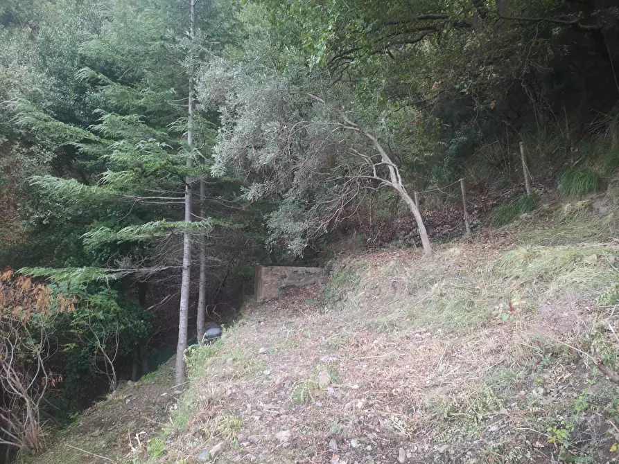 Immagine 9 di Terreno agricolo in vendita  in Via Comunale Catarratti, 106 a Messina