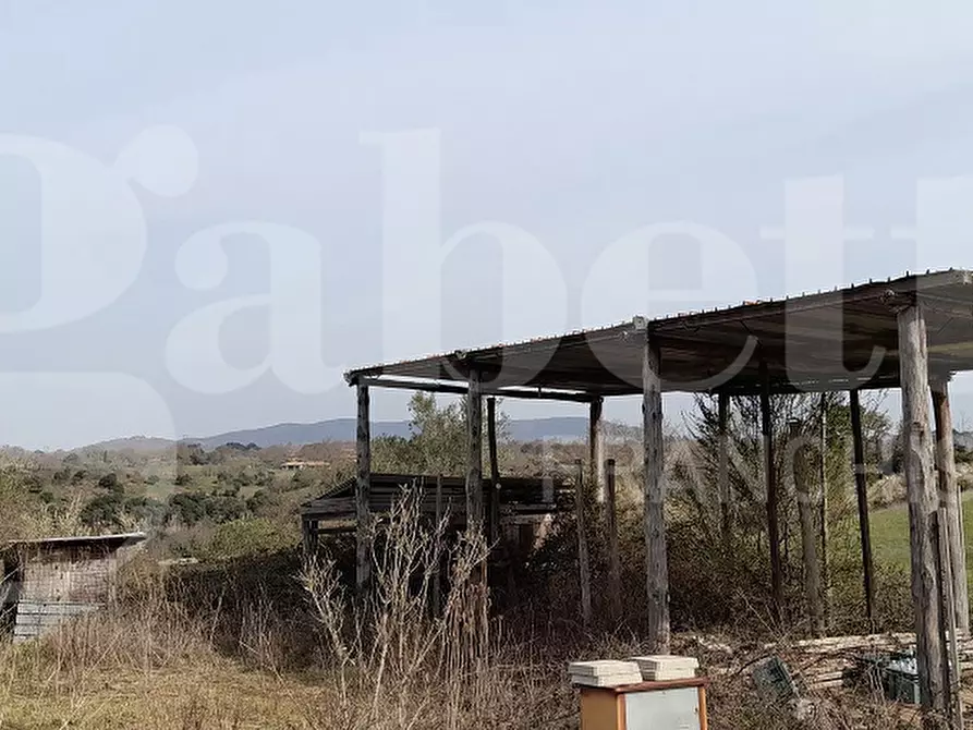 Immagine 2 di Terreno agricolo in vendita  in Via CASALE DELLE PIETRISCHE, 00 a Manziana
