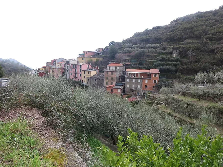 Immagine 1 di Appartamento in vendita  in Strada provinciale, 5 a Riomaggiore