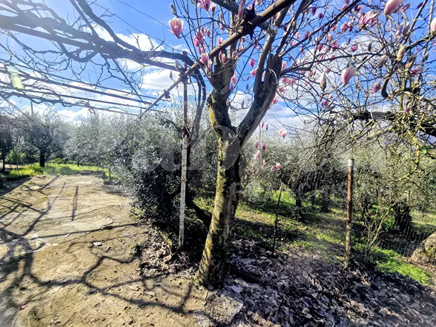 Immagine 20 di Rustico / casale in vendita  in Via Fonte del Colle, snc a Artena