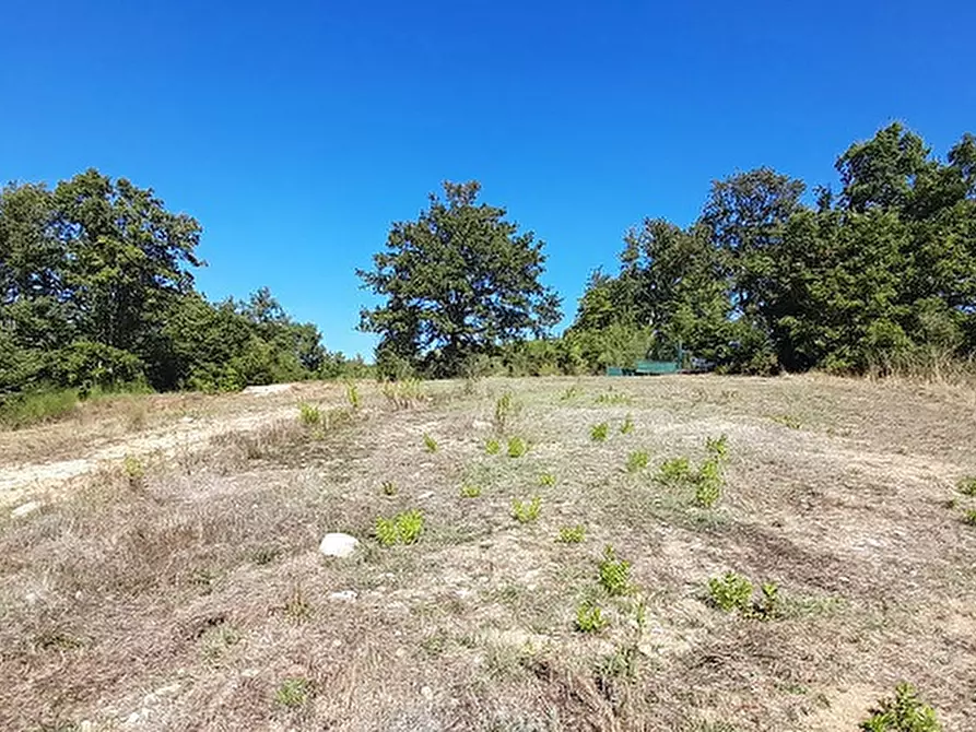 Immagine 3 di Terreno residenziale in vendita  in Via TORRETTA, 00 a Canale Monterano