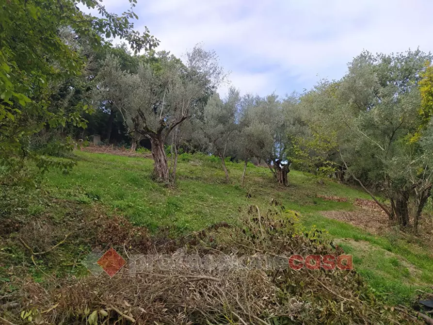 Immagine 5 di Terreno agricolo in vendita  in Via Monteluce Via Monterone a Perugia