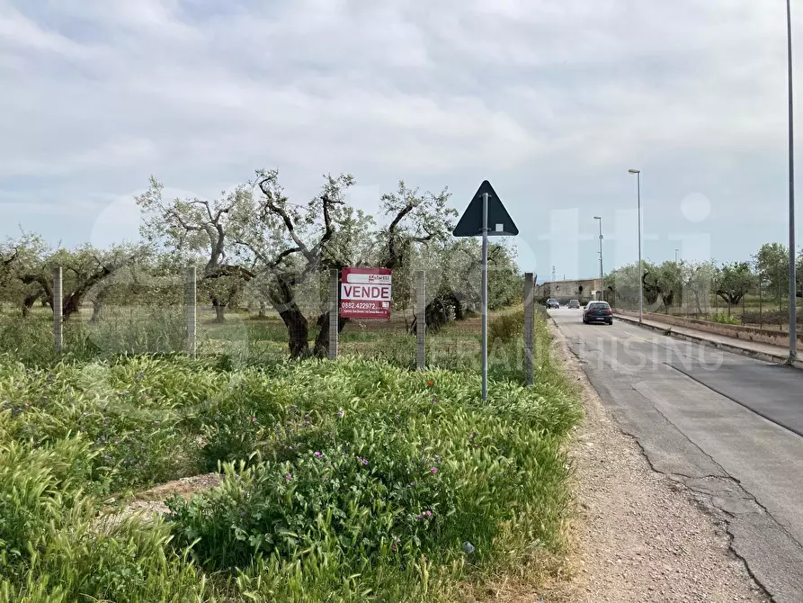 Immagine 2 di Terreno residenziale in vendita  in Strada vicinale guadone, snc a San Severo