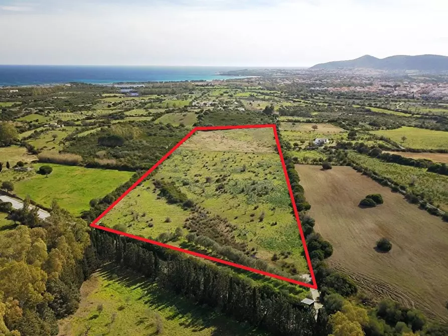 Immagine 2 di Terreno agricolo in vendita  in LocalitÃ  BirgalavÃ² strada provinciale, 0 a Budoni