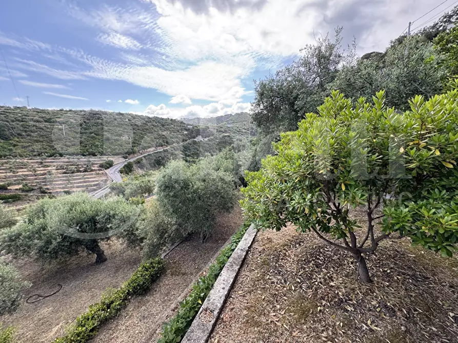 Immagine 8 di Terreno agricolo in vendita  in Contrada grancabella, SNC a Messina