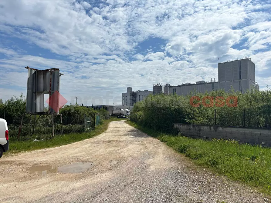 Immagine 3 di Capannone industriale in vendita  in Strada Provinciale 11 Morolense, snc a Patrica