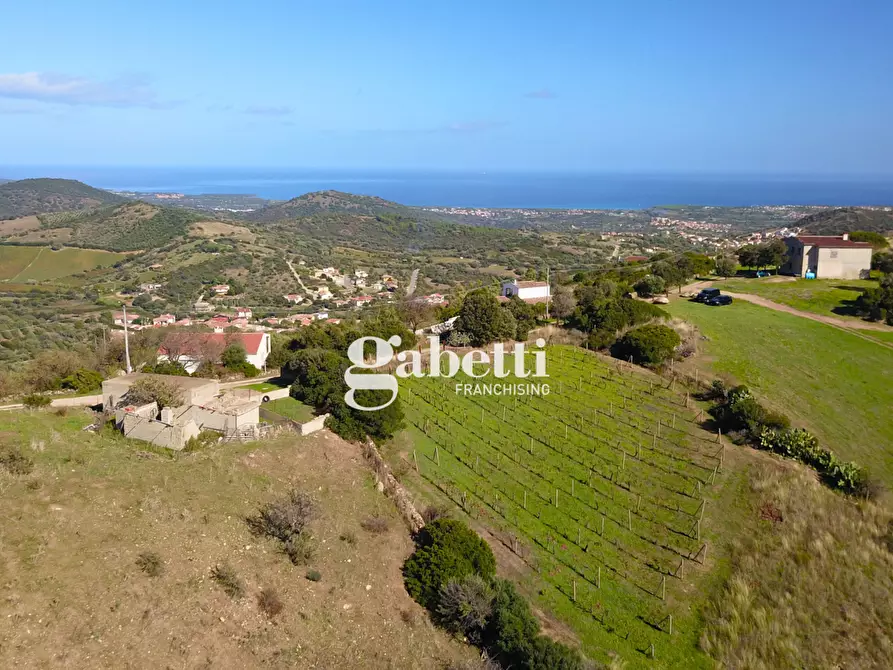 Immagine 1 di Terreno residenziale in vendita  in LocalitÃ  Giustinu, snc a Budoni