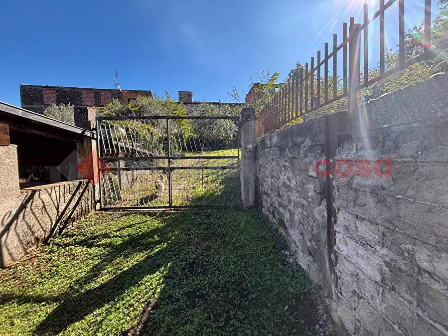 Immagine 10 di Terreno agricolo in vendita  in Via Vignali, snc a Sgurgola