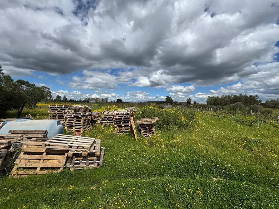Immagine 4 di Casa indipendente in vendita  in Via Bia Concouda, snc a Decimoputzu